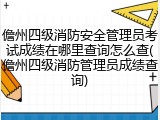 儋州四级消防安全管理员考试成绩在哪里查询怎么查(儋州四级消防管理员成绩查询)