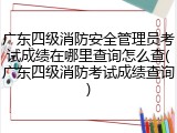 广东四级消防安全管理员考试成绩在哪里查询怎么查(广东四级消防考试成绩查询)