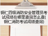 铜仁四级消防安全管理员考试成绩在哪里查询怎么查(铜仁消防考试成绩查询)