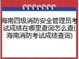 海南四级消防安全管理员考试成绩在哪里查询怎么查(海南消防考试成绩查询)