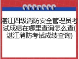 湛江四级消防安全管理员考试成绩在哪里查询怎么查(湛江消防考试成绩查询)