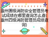 惠州四级消防安全管理员考试成绩在哪里查询怎么查(惠州四级消防管理员成绩查询)