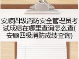 安顺四级消防安全管理员考试成绩在哪里查询怎么查(安顺四级消防成绩查询)