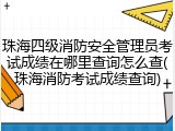 珠海四级消防安全管理员考试成绩在哪里查询怎么查(珠海消防考试成绩查询)