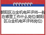 朝阳区冶金机电环评师一般在哪里工作什么岗位(朝阳区冶金机电环评师岗位)
