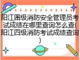 阳江四级消防安全管理员考试成绩在哪里查询怎么查(阳江四级消防考试成绩查询)