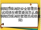 铜陵四级消防安全管理员考试成绩在哪里查询怎么查(铜陵四级消防管理员成绩查询)