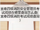 宜春四级消防安全管理员考试成绩在哪里查询怎么查(宜春四级消防考试成绩查询)