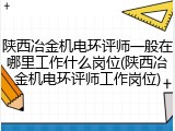 陕西冶金机电环评师一般在哪里工作什么岗位(陕西冶金机电环评师工作岗位)
