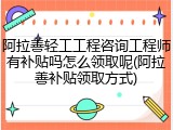 阿拉善轻工工程咨询工程师有补贴吗怎么领取呢(阿拉善补贴领取方式)