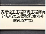贵港轻工工程咨询工程师有补贴吗怎么领取呢(贵港补贴领取方式)