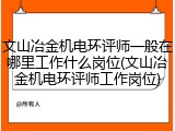 文山冶金机电环评师一般在哪里工作什么岗位(文山冶金机电环评师工作岗位)