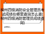 柳州四级消防安全管理员考试成绩在哪里查询怎么查(柳州四级消防管理员成绩查询)