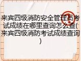 来宾四级消防安全管理员考试成绩在哪里查询怎么查(来宾四级消防考试成绩查询)