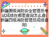 新疆四级消防安全管理员考试成绩在哪里查询怎么查(新疆四级消防管理员成绩查询)
