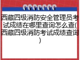 西藏四级消防安全管理员考试成绩在哪里查询怎么查(西藏四级消防考试成绩查询)