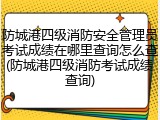 防城港四级消防安全管理员考试成绩在哪里查询怎么查(防城港四级消防考试成绩查询)