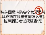 拉萨四级消防安全管理员考试成绩在哪里查询怎么查(拉萨消防考试成绩查询)