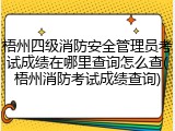 梧州四级消防安全管理员考试成绩在哪里查询怎么查(梧州消防考试成绩查询)