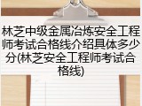 林芝中级金属冶炼安全工程师考试合格线介绍具体多少分(林芝安全工程师考试合格线)