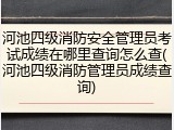 河池四级消防安全管理员考试成绩在哪里查询怎么查(河池四级消防管理员成绩查询)