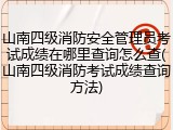 山南四级消防安全管理员考试成绩在哪里查询怎么查(山南四级消防考试成绩查询方法)
