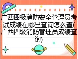 广西四级消防安全管理员考试成绩在哪里查询怎么查(广西四级消防管理员成绩查询)
