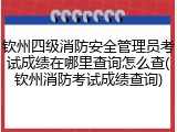 钦州四级消防安全管理员考试成绩在哪里查询怎么查(钦州消防考试成绩查询)