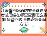 吐鲁番四级消防安全管理员考试成绩在哪里查询怎么查(吐鲁番四级消防成绩查询方法)