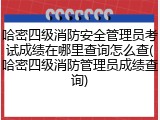 哈密四级消防安全管理员考试成绩在哪里查询怎么查(哈密四级消防管理员成绩查询)