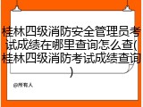 桂林四级消防安全管理员考试成绩在哪里查询怎么查(桂林四级消防考试成绩查询)