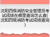 沈阳四级消防安全管理员考试成绩在哪里查询怎么查(沈阳四级消防考试成绩查询)