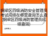 铜梁区四级消防安全管理员考试成绩在哪里查询怎么查(铜梁区四级消防管理员成绩查询)