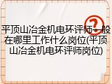 平顶山冶金机电环评师一般在哪里工作什么岗位(平顶山冶金机电环评师岗位)
