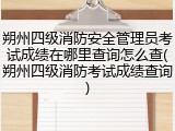 朔州四级消防安全管理员考试成绩在哪里查询怎么查(朔州四级消防考试成绩查询)