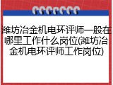 潍坊冶金机电环评师一般在哪里工作什么岗位(潍坊冶金机电环评师工作岗位)