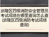 武隆区四级消防安全管理员考试成绩在哪里查询怎么查(武隆区四级消防考试成绩查询)