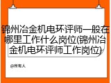 锦州冶金机电环评师一般在哪里工作什么岗位(锦州冶金机电环评师工作岗位)