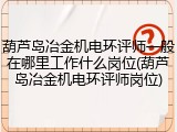葫芦岛冶金机电环评师一般在哪里工作什么岗位(葫芦岛冶金机电环评师岗位)