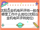 沈阳冶金机电环评师一般在哪里工作什么岗位(沈阳冶金机电环评师岗位)