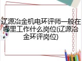 辽源冶金机电环评师一般在哪里工作什么岗位(辽源冶金环评岗位)