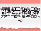 铜梁区轻工工程咨询工程师有补贴吗怎么领取呢(铜梁区轻工工程咨询补贴领取方式)