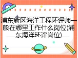 浦东新区海洋工程环评师一般在哪里工作什么岗位(浦东海洋环评岗位)