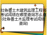 吐鲁番土木建筑监理工程师考试成绩在哪里查询怎么查(吐鲁番土木监理考试成绩查询)