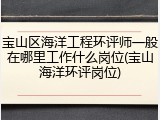宝山区海洋工程环评师一般在哪里工作什么岗位(宝山海洋环评岗位)