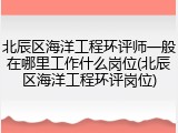 北辰区海洋工程环评师一般在哪里工作什么岗位(北辰区海洋工程环评岗位)