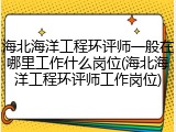 海北海洋工程环评师一般在哪里工作什么岗位(海北海洋工程环评师工作岗位)