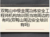 双鸭山中级金属冶炼安全工程师机构培训班当地周边的有吗(双鸭山周边安全培训有吗)