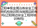 辽阳中级金属冶炼安全工程师机构培训班当地周边的有吗(辽阳周边安全工程师培训有吗)
