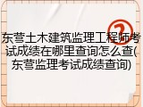 东营土木建筑监理工程师考试成绩在哪里查询怎么查(东营监理考试成绩查询)